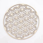 Mandala floarea vieții